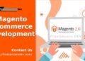 Magento developers