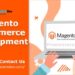 Magento developers