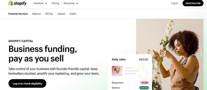 7 Best Platforms to Access Ecommerce Business Loans - Unlimited Graphic ...