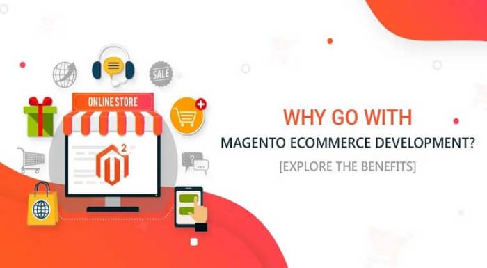 Magento Development: Some Tips and Tricks for Building a Successful ...