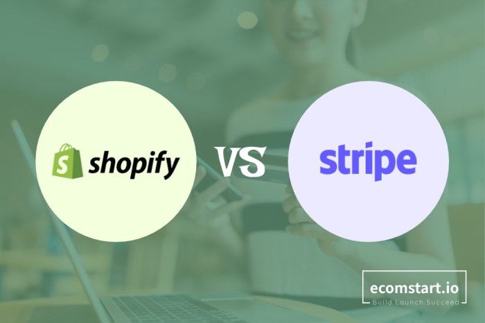 Shopify Payments vs Stripe Comparison: Which Is Best in 2024?